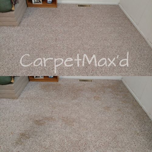 before-and-after carpet cleaning photo
