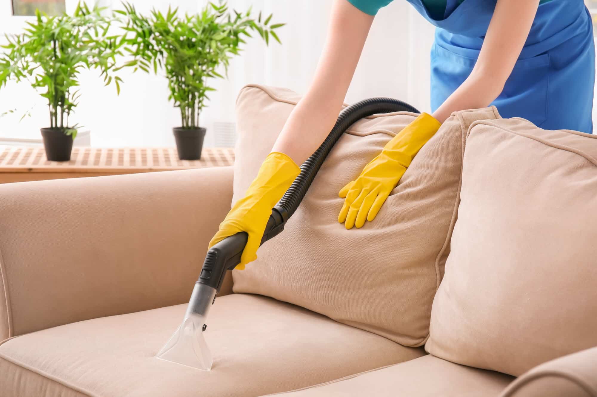 Professional upholstery cleaning of a sofa