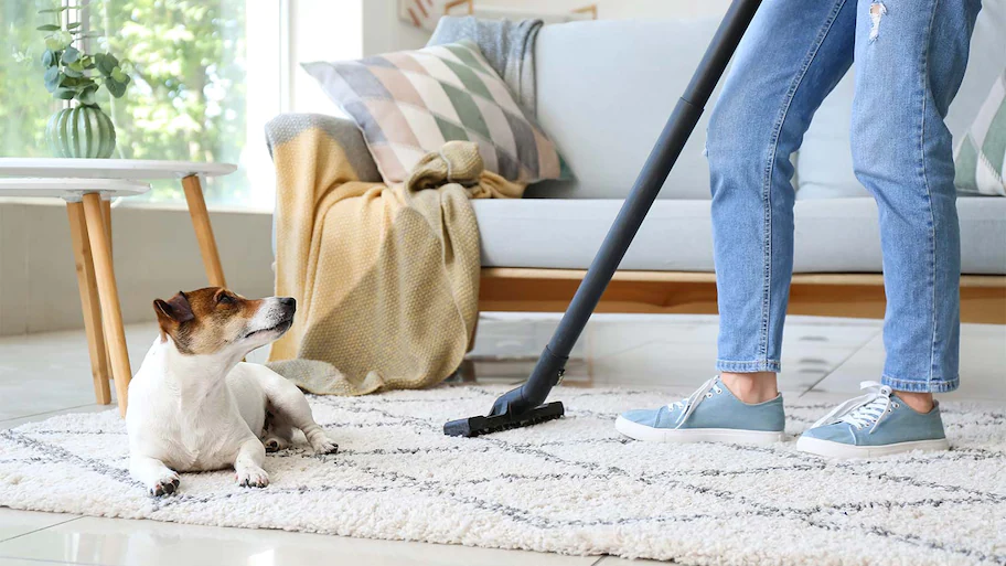 How Often Should Carpets Be Cleaned?