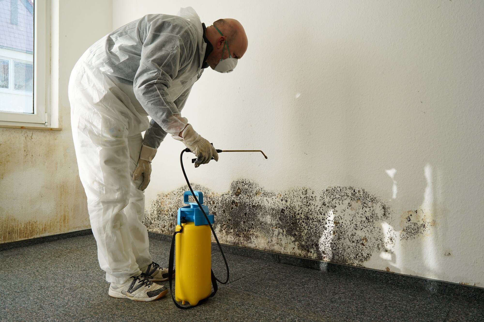Essential Tips for Cleaning Up Water Damage