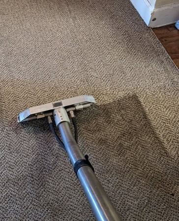 clean carpet