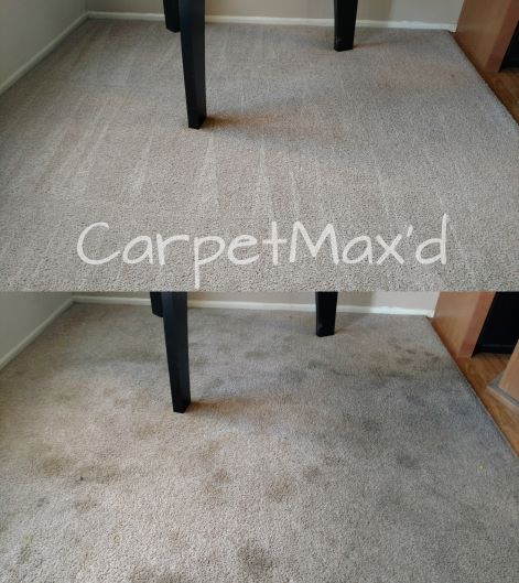 Professional Carpet Cleaning: Techniques for Lasting Carpets