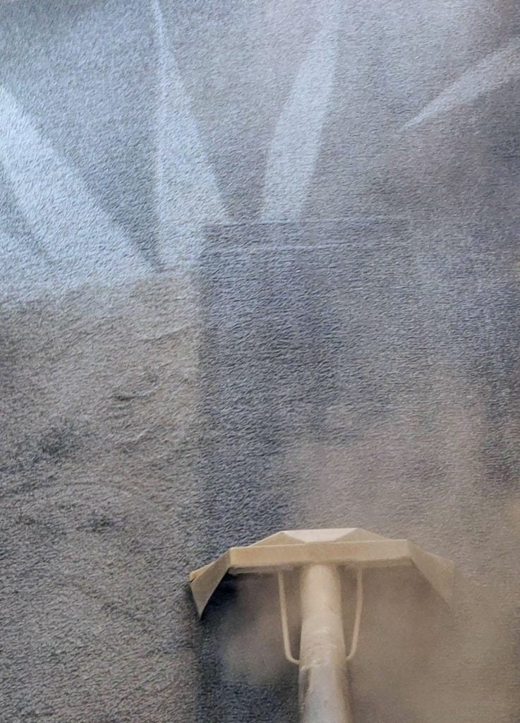 carpet cleaning with steam
