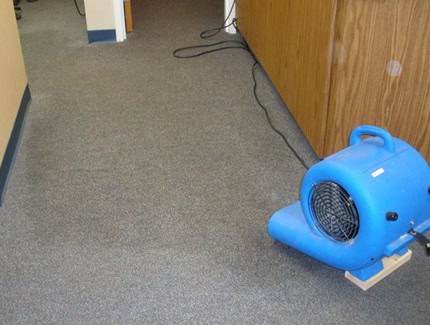 air mover wet carpet