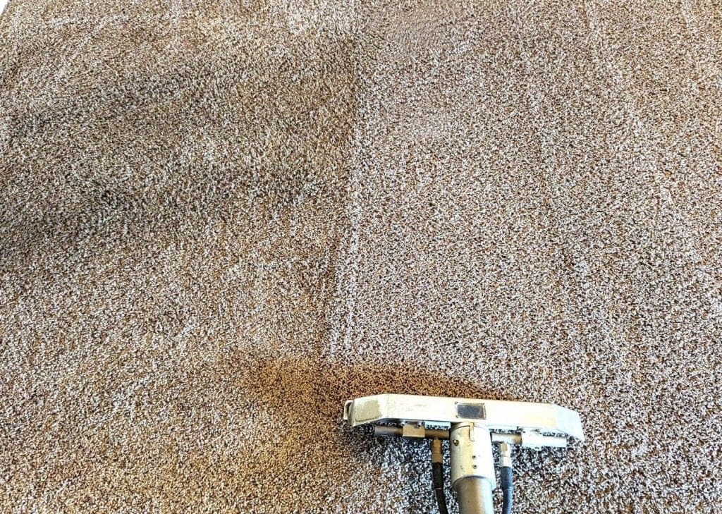 Before and after carpet cleaning showing dirty carpet next to professionally cleaned section in Odessa, TX home