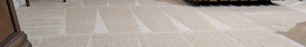 freshly cleaned carpet