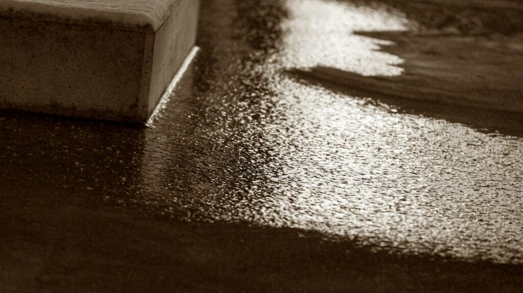 post-flood carpet