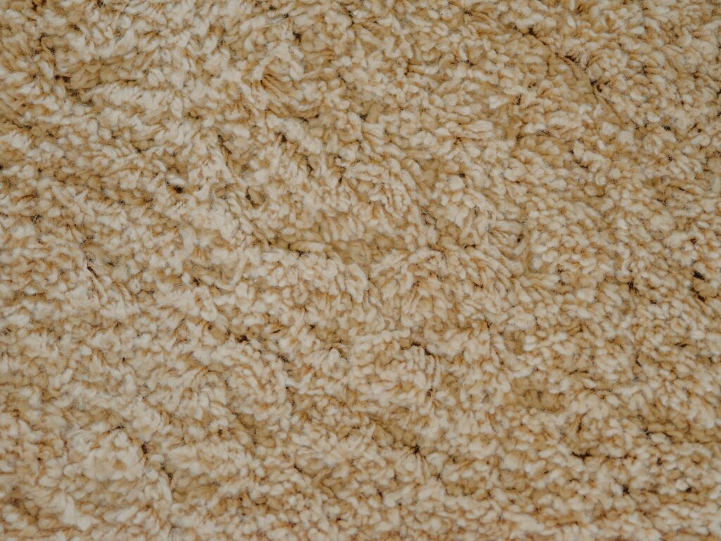 carpet floor