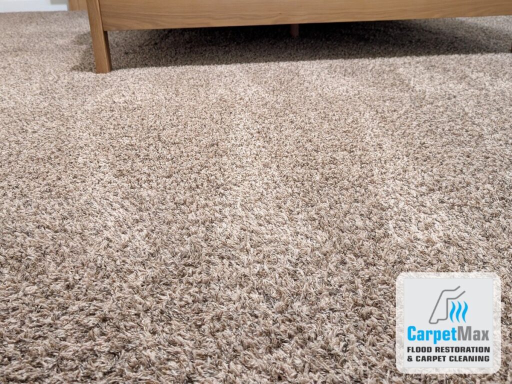 Freshly cleaned carpet in a Midland, TX home by CarpetMax