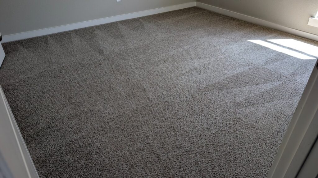 Vacant room with freshly cleaned carpet showing vacuum lines near a sunlit window.